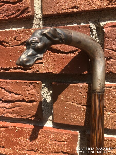 Walking stick with silver dog head