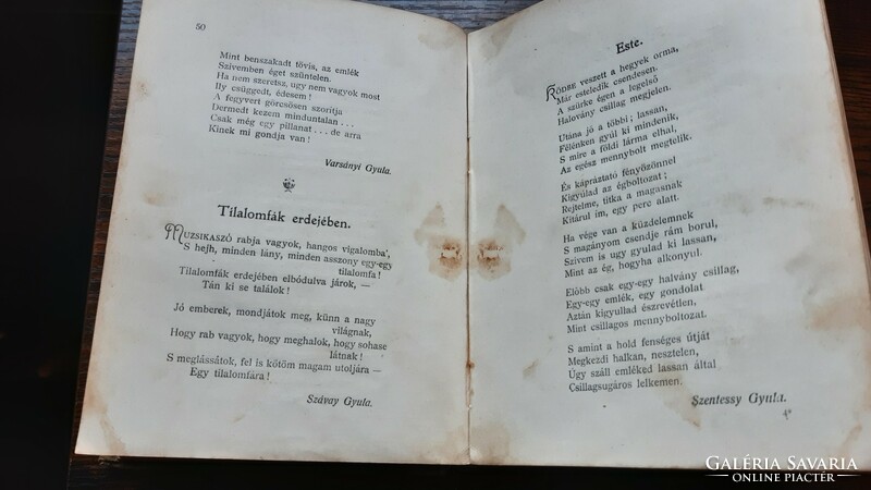 Radó Antal - Költők albuma, 1904-es kiadás, sérült gerinccel, borítóval