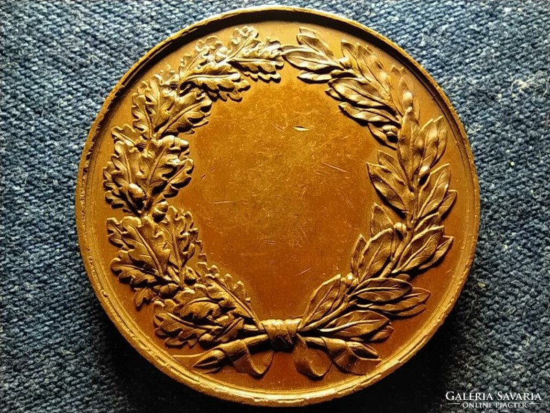 France Beaune Shooters Association Founding Medal 1881 (id51049)