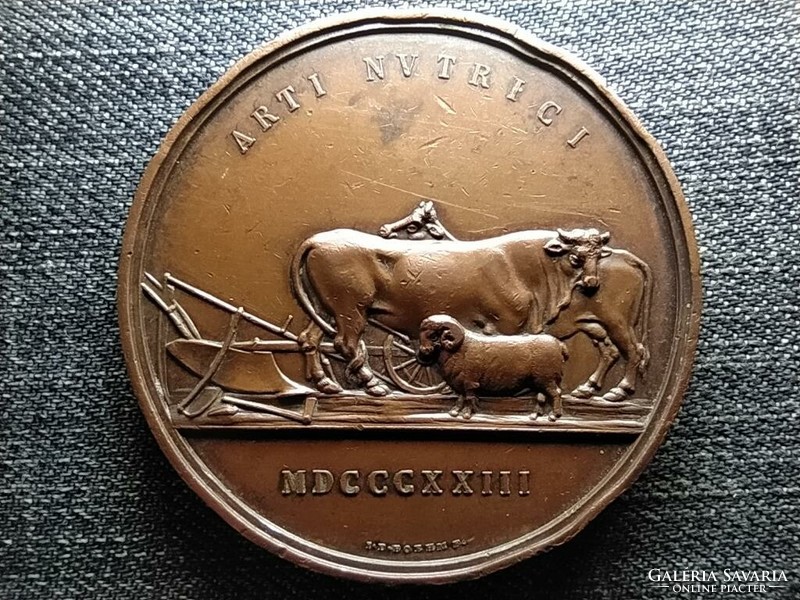 Ausztria Bécs Mezőgazdasági Társaság 56 mm bronz medál 1823 (id46290)