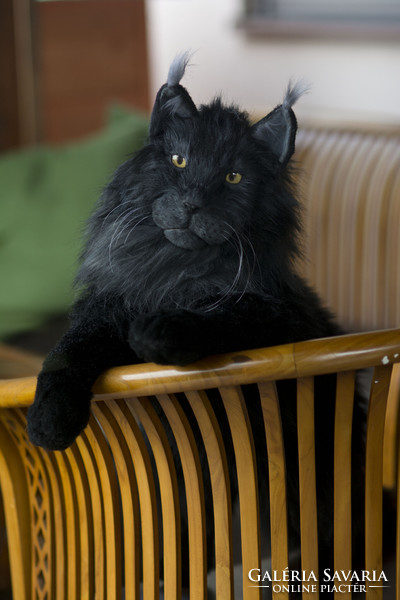 Life size black maine coon cat replica