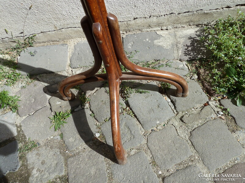 Thonet half tooth in good condition