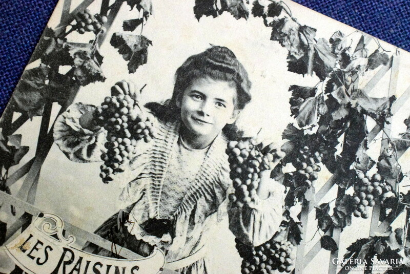 Antik Bergeret fotó képeslap  kisleány szőlővel