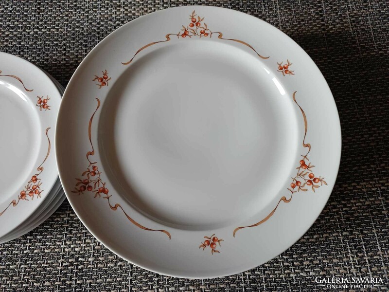 Alföldi porcelán tányérkészlet, hiányos (15 db), egy-egy darab sérült