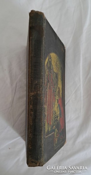 Ferenc Donászy: the golden salamander in illustrated half-canvas binding.