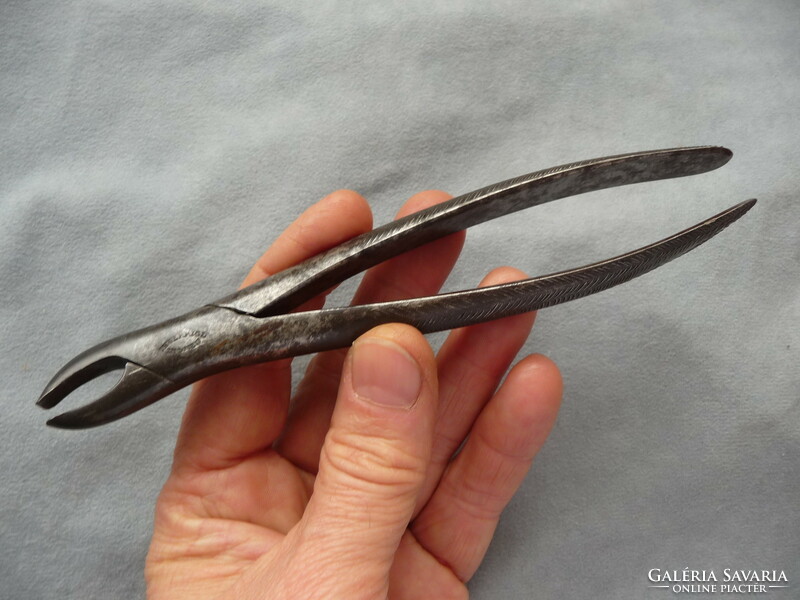 Antique dental pliers antique tooth extraction pliers antique dental tool 19th century tooth extraction pliers