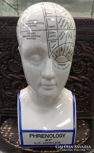 Porcelán Phrenological Fej