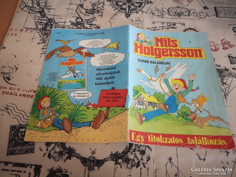 Nils holgersson 1. - A mysterious encounter