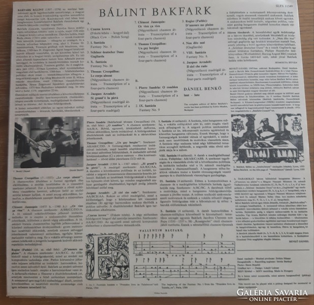 Bucktail vinyl records four pieces