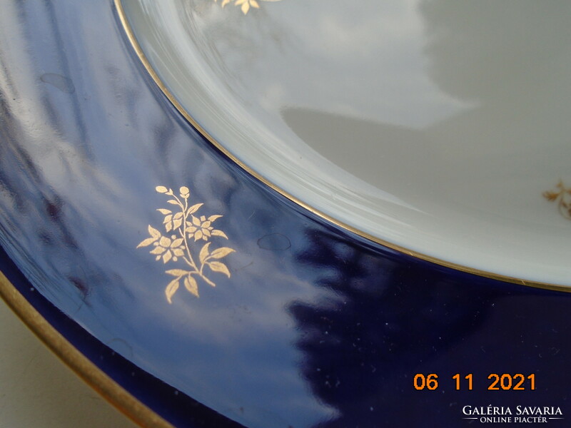 1923 Sevres cobalt scattered gold with various flowers French plate