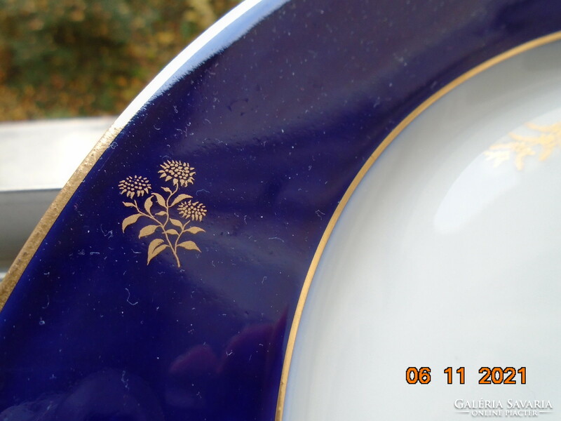 1923 Sevres cobalt scattered gold with various flowers French plate