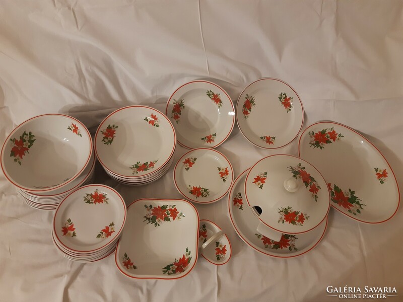 Christmas flower pattern, Zsolnay tableware for 12 people + 2 flat plates