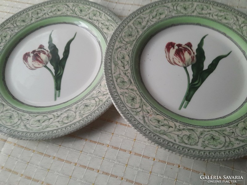 The royal tulip plate