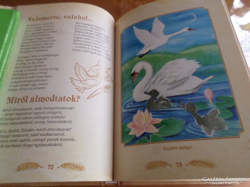 Bird poems of the four seasons of uncle Pósa's bird book illustrated for children by gábor emese, 2012