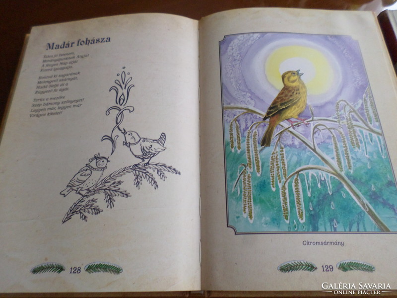 Bird poems of the four seasons of uncle Pósa's bird book illustrated for children by gábor emese, 2012