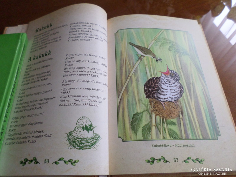 Bird poems of the four seasons of uncle Pósa's bird book illustrated for children by gábor emese, 2012
