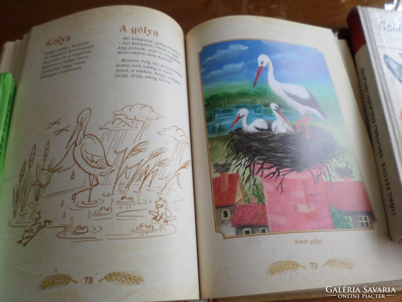Pósa bácsi Madaras könyv Négy évszak madárversei gyerekeknek Illusztrálja Gábor Emese, 2012