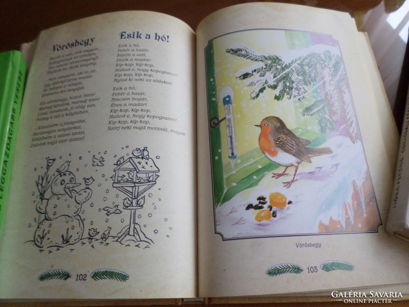 Bird poems of the four seasons of uncle Pósa's bird book illustrated for children by gábor emese, 2012