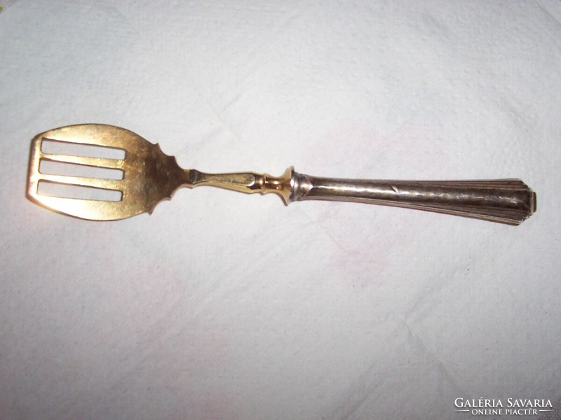 Openwork small spoon with silver handle