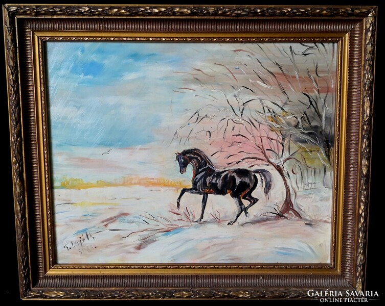 Fk/383. – T. Lajó m. With markings - thoroughbred