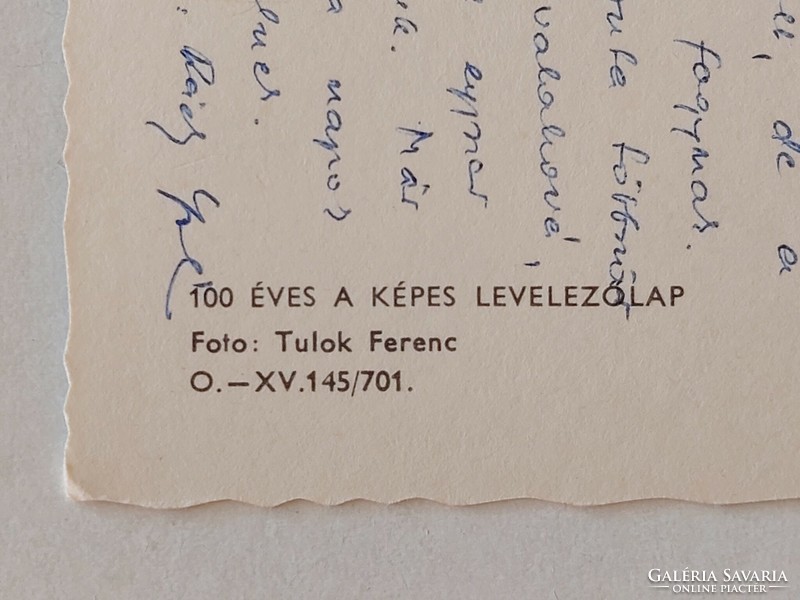 Régi képeslap 1970 Balaton fotó levelezőlap Vándormadár vitorlás hajó