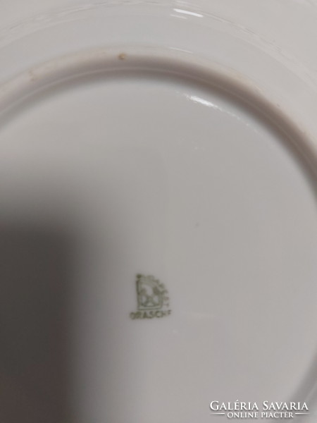 Drasche, beautiful floral porcelain, 1 deep, 1 flat plate