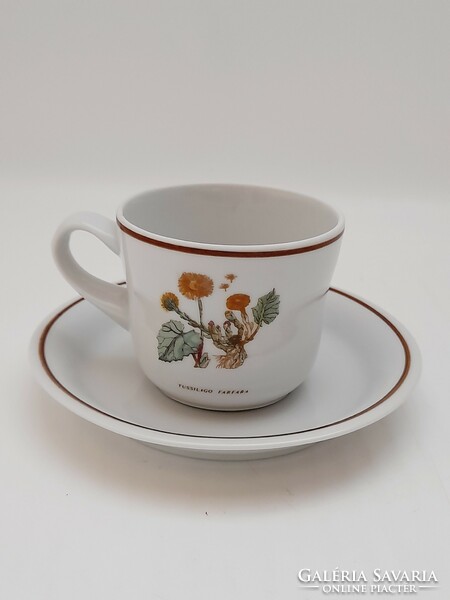 Hollóháza botanical coffee cup, tussilago farfara, martilapu