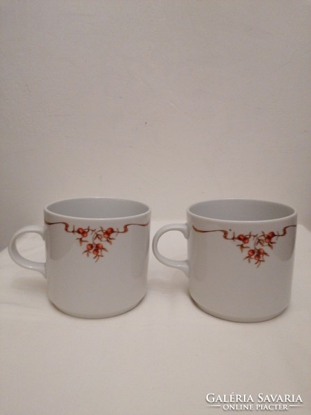 Alföldi rosehip porcelain mug 2 pcs