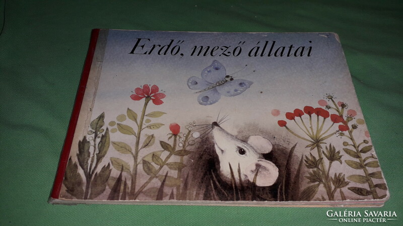 1984. Erdő, mező állatai képes gyermek mese könyv a képek szerint MÓRA