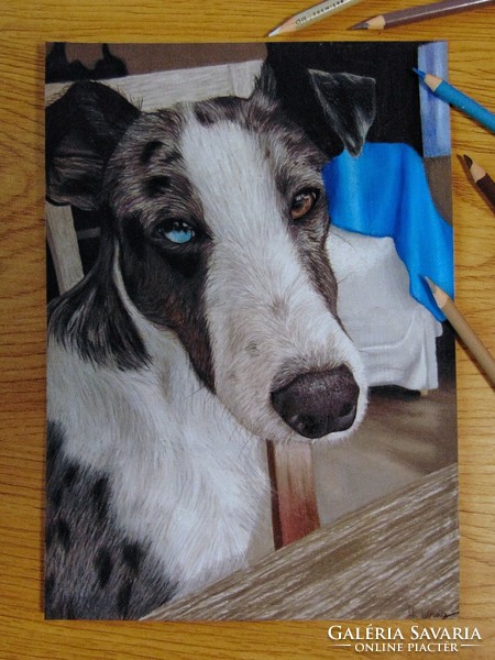 Állat portré színes ceruzával rendelésre