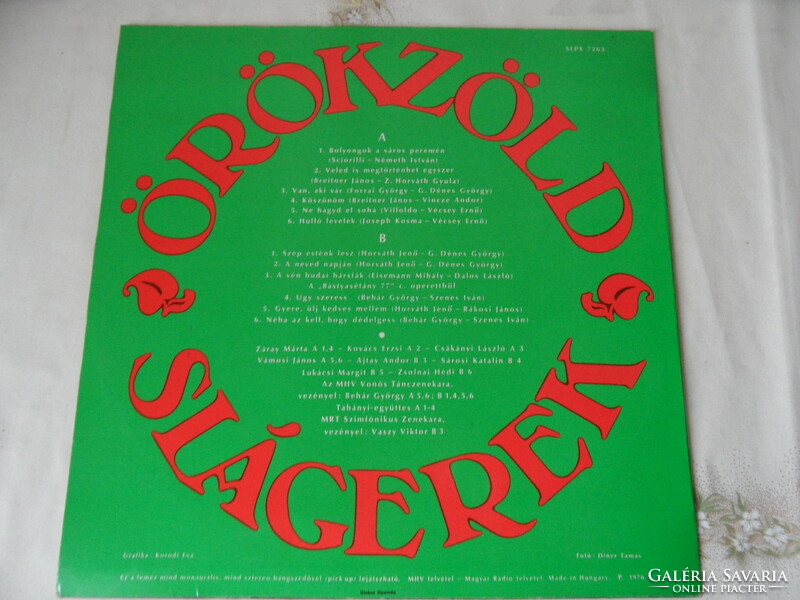 Evergreen hits - vinyl record