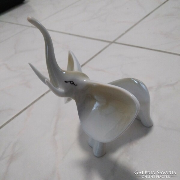 Raven house porcelain elephant