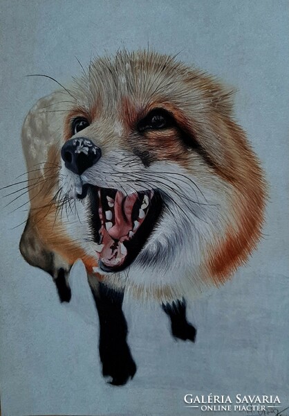 Animal portrait with colored pencil to order