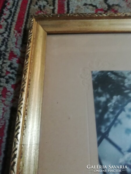 Antique wooden frame with glass 53 cm x 43 cm