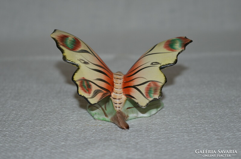 Bodrogkeresztúri pillangó  02  ( DBZ 0086 )