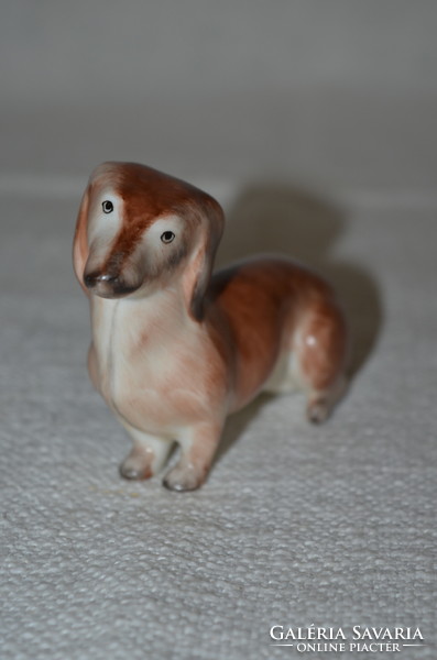 Aquincum dachshund ( dbz 0074/1 )