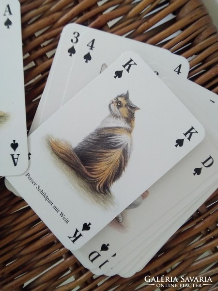 A deck of cat cards - in mint condition