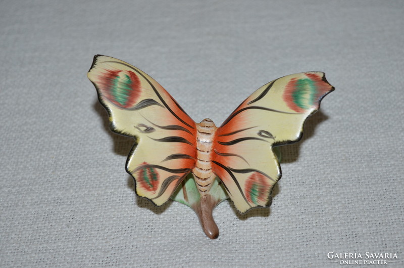Bodrogkeresztúr butterfly 02 ( dbz 0086 )