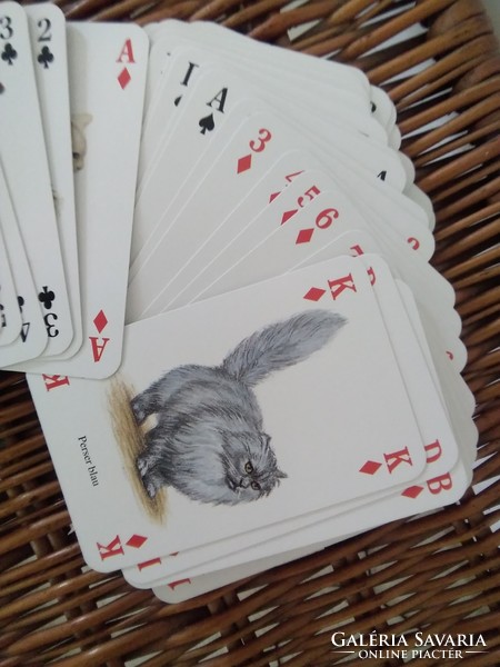 Egy pakli, macskás kártya - újszerű állapotban