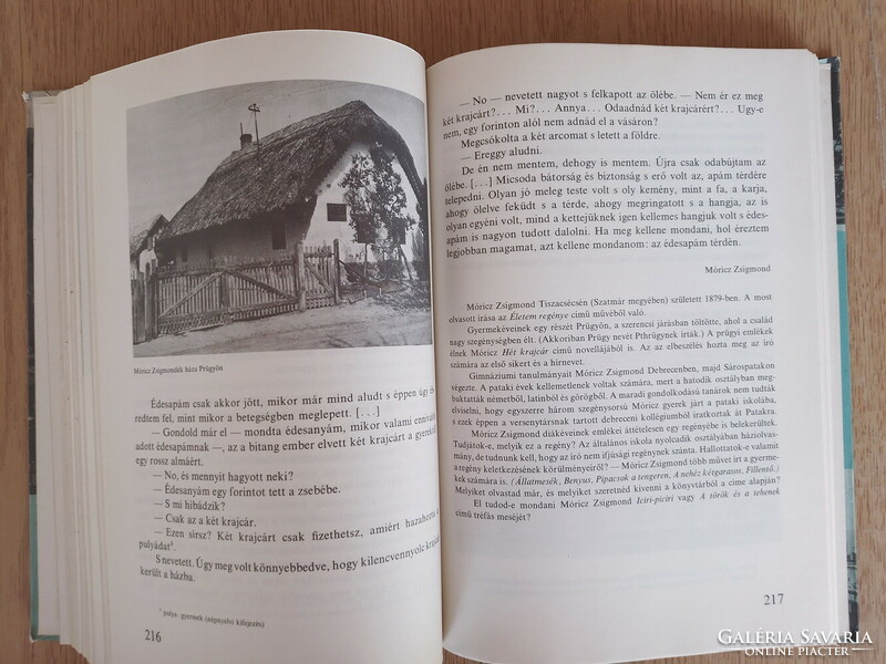 Our homeland, Northern Hungary i. (Textbook publishing company 1978, József Merényi, large size)