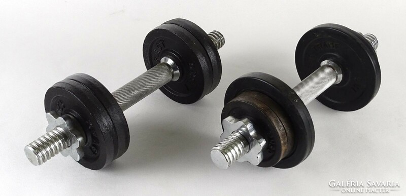 1O450 pair of professional metal dumbbells 13.53 Kg