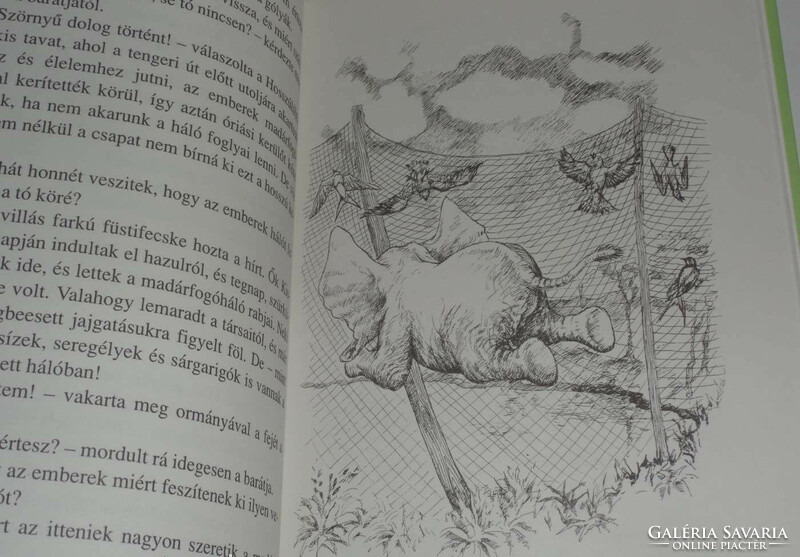 Lajos Pándy: kumari the flying little elephant