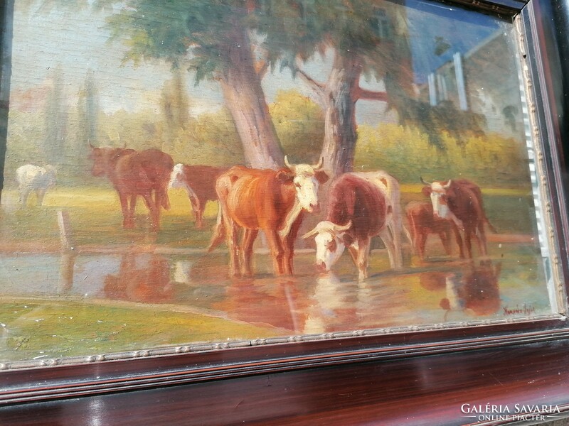 A rare cow painting by Lojos Korpács, oil on wood
