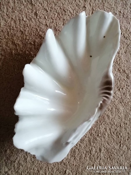 Porcelain shells in Hollóháza