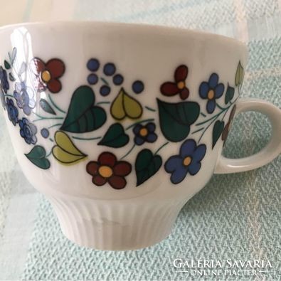 Unique German colditz (made in GDR) porcelain coffee set with floral decor
