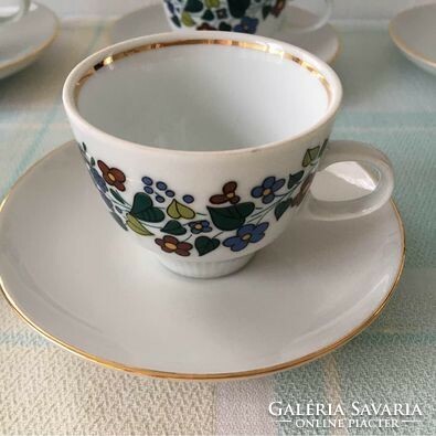 Unique German colditz (made in GDR) porcelain coffee set with floral decor