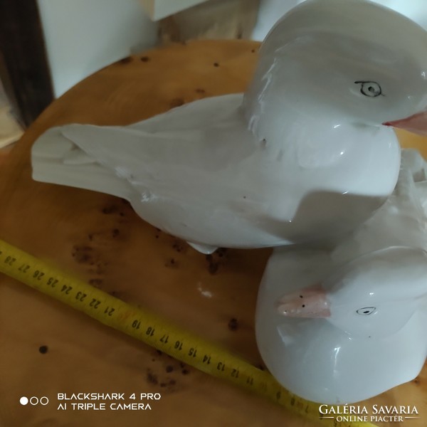 Extremely rare pair of raven house ducks (porcelain sale)