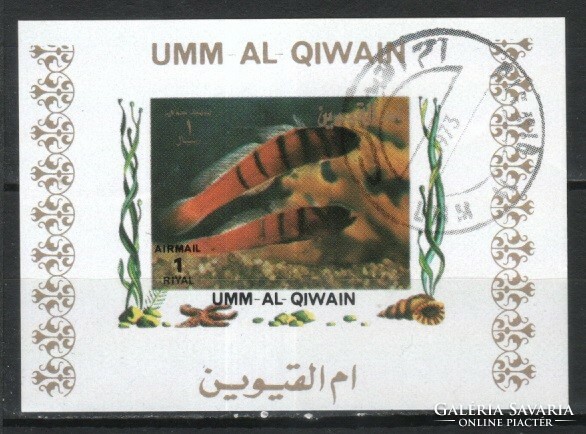 Halak, vízi élőlények 0016 (Umm-al Qiwain)
