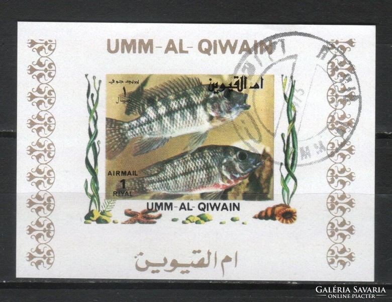 Halak, vízi élőlények 0013 (Umm-al Qiwain)
