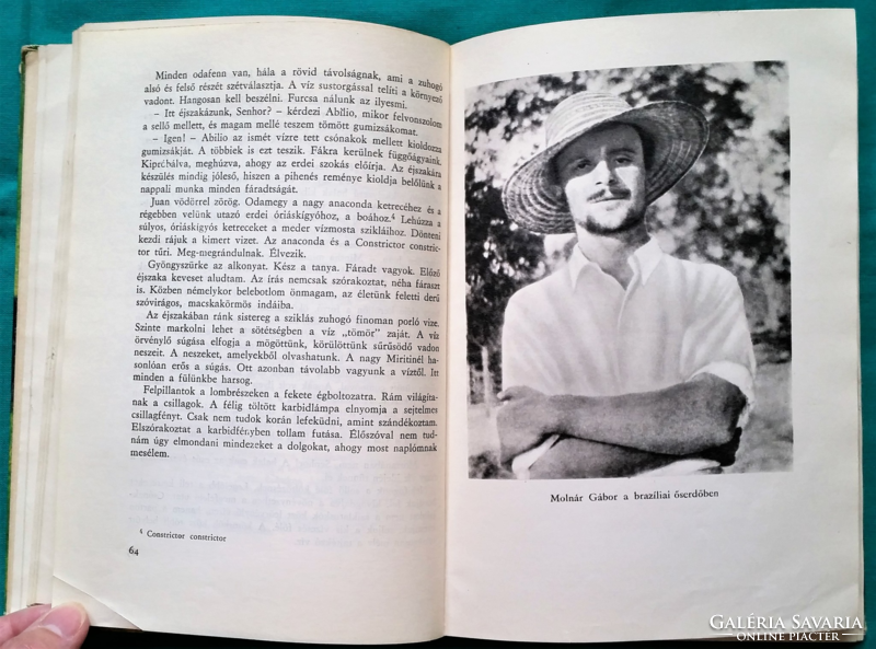 Gábor Molnár: my friend, the wild - Brazilian hunting adventures > novel, short story, short story >